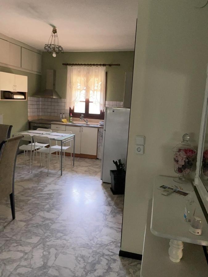 Гостевой дом Theodoras House Nea Iraklitsa Экстерьер фото
